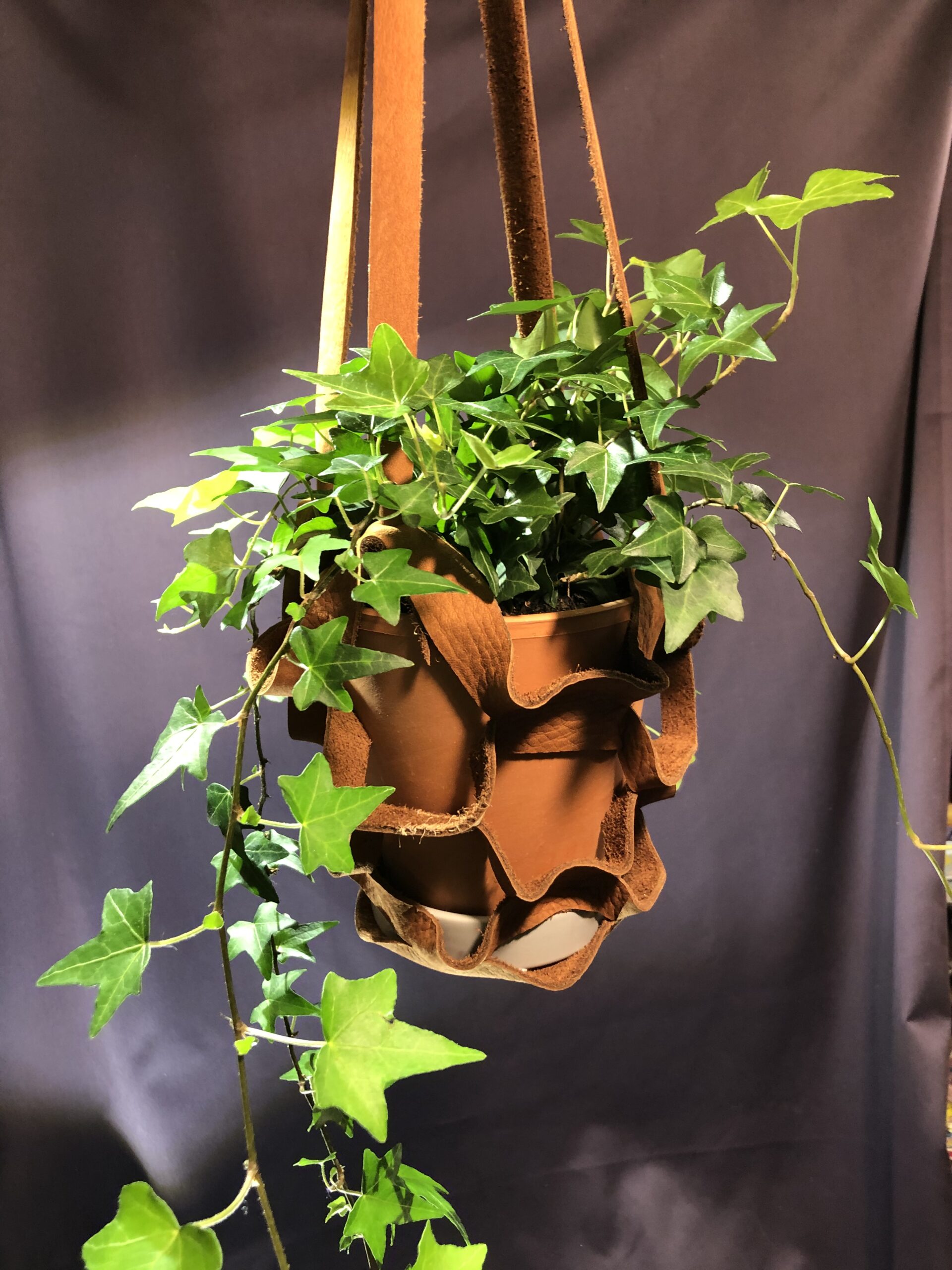 Suspension pour plante (grand)