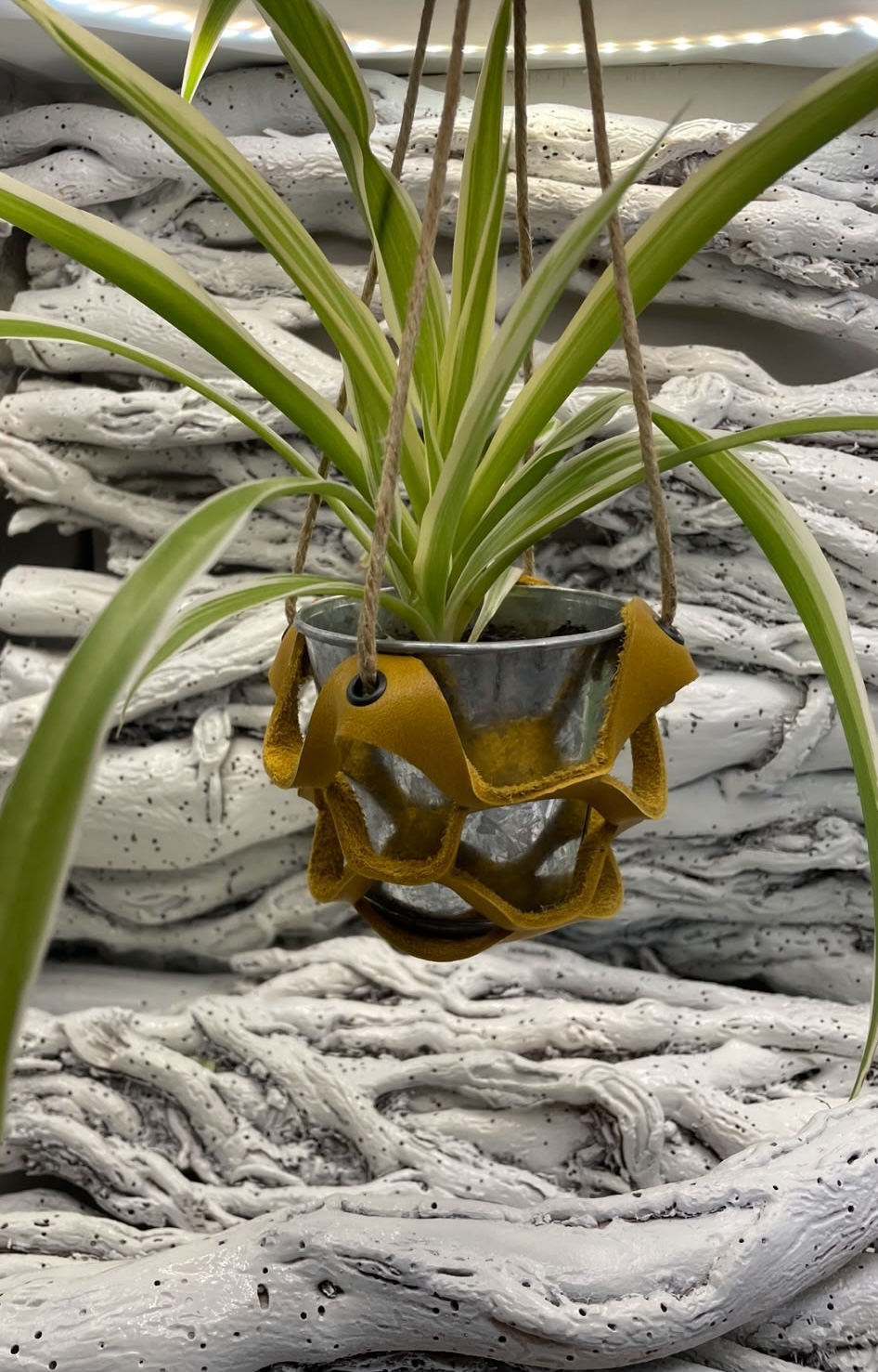 Suspension pour plante (mini)