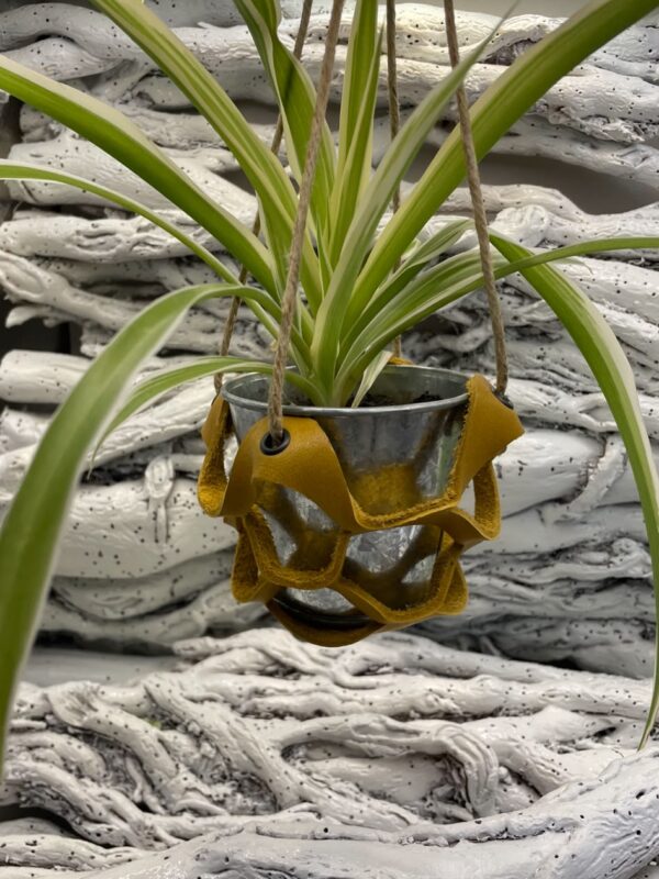 Suspension mini pour plantes